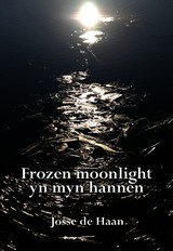 17810587-Frozen-moonlight-yn-myn-hannen-Josse-de-Haan
